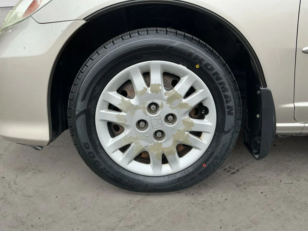 Used 2004 Gold Honda LX image 9