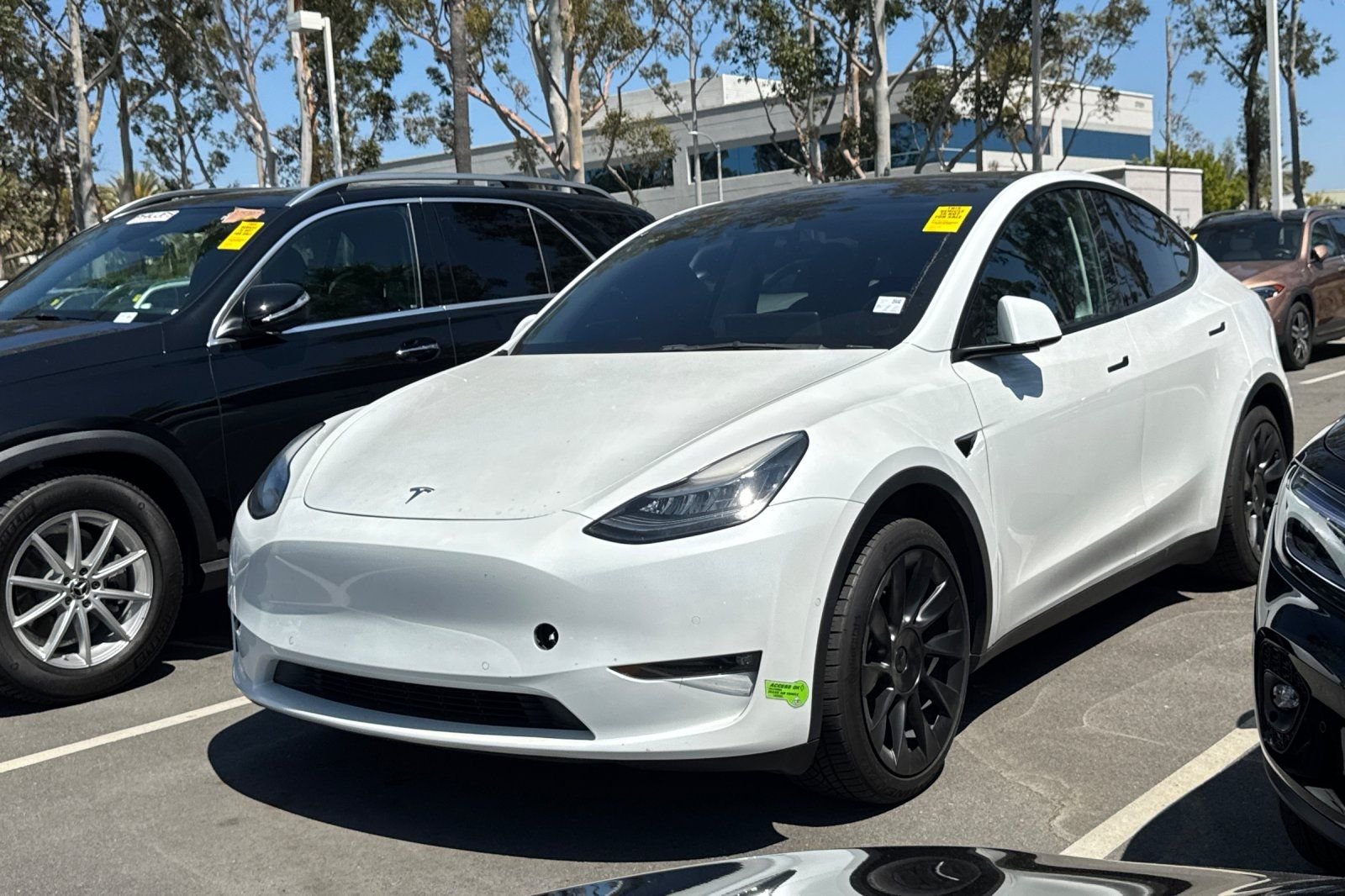 2021 Tesla Model Y Standard Range's photo
