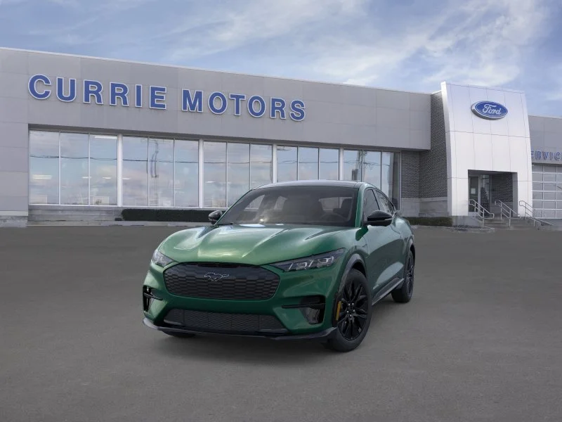New 2026 Eruption Green Metallic Ford Premium image 2