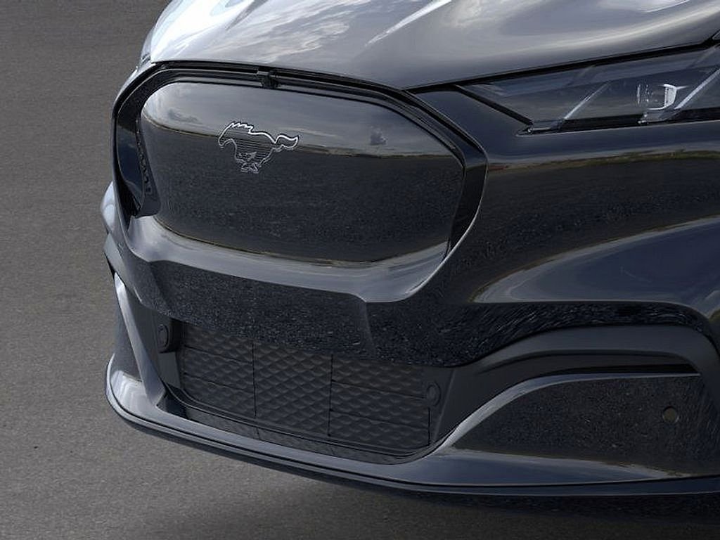 New 2026 Shadow Black Ford Premium image 17