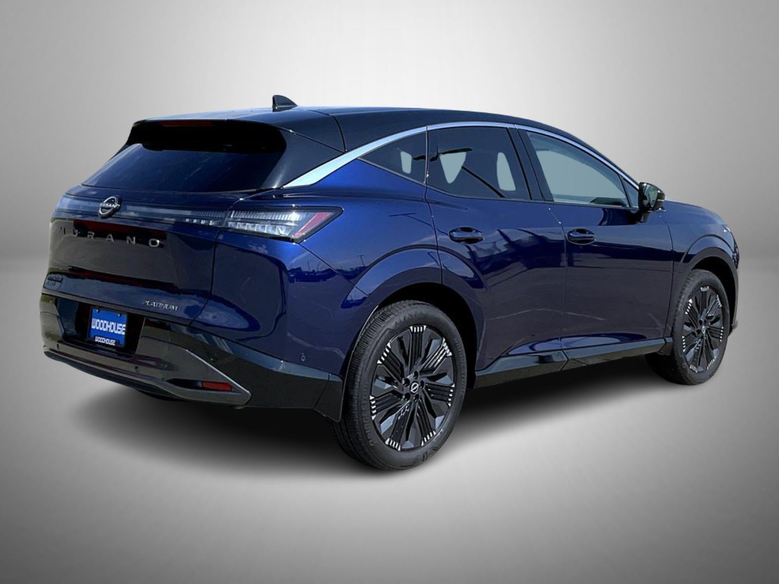 Used 2025 Blue Nissan Platinum image 5
