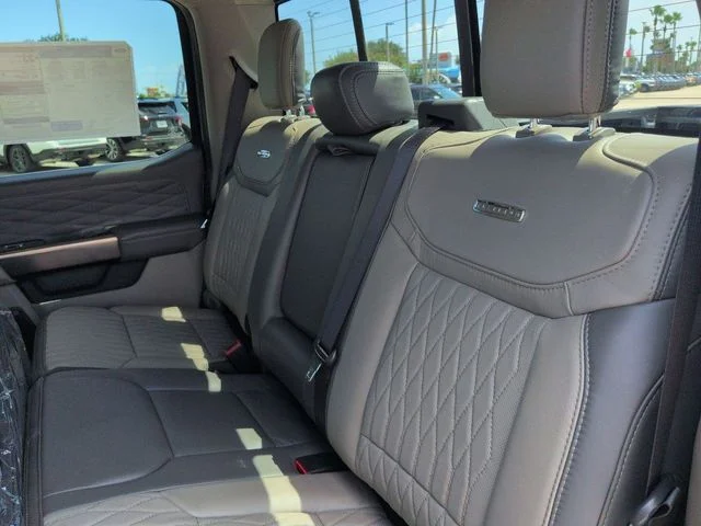 New 2026 Gray Ford Platinum image 14
