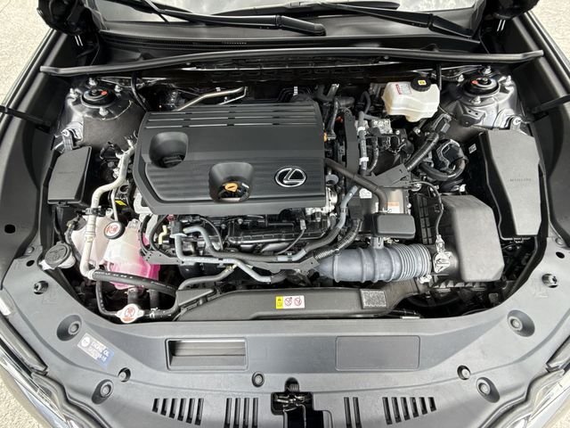 2025 Lexus ES Hybrid 300h - Photo 27