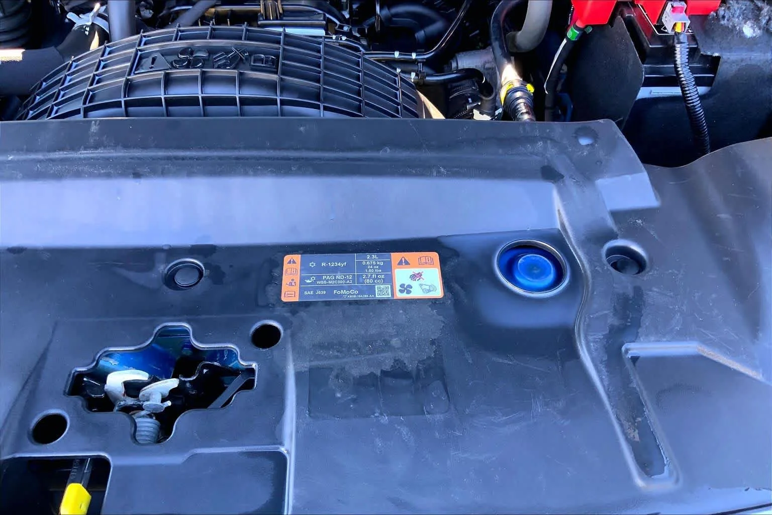 Certified Used 2019 Blue Ford XLT image 31