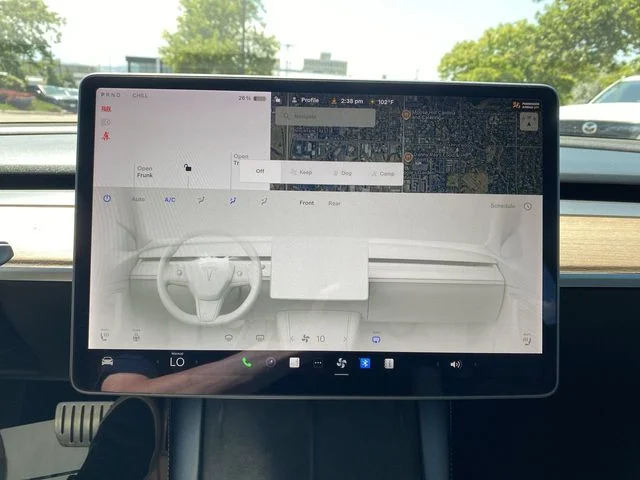 Used 2021 Black Tesla Performance image 19