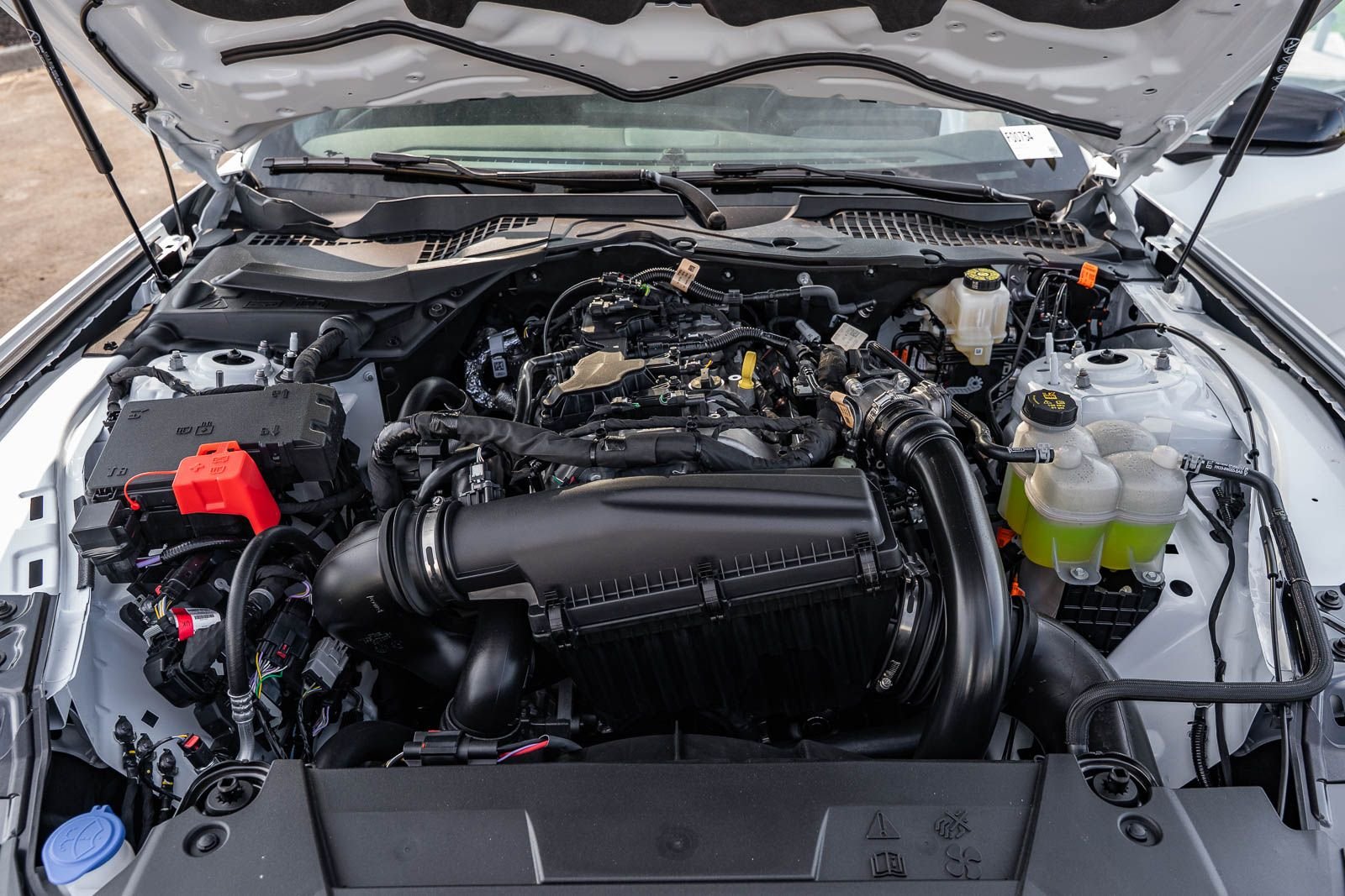 New 2026 Oxford White Ford EcoBoost® Fastback image 14