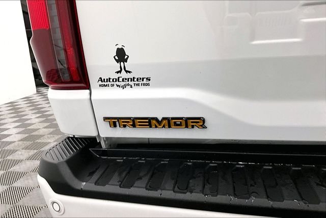 2025 Ford F-150 Tremor - Photo 9