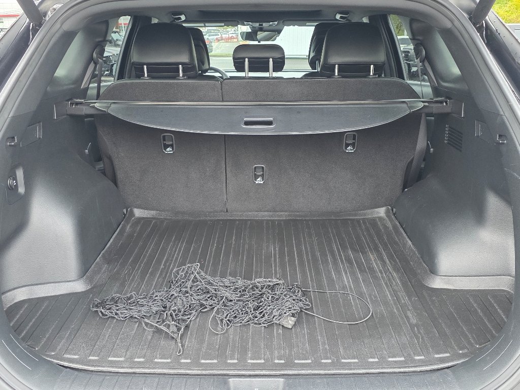 Used 2023 Ebony Black Kia X-Line image 4