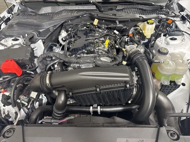New 2026 Oxford White Ford EcoBoost image 9