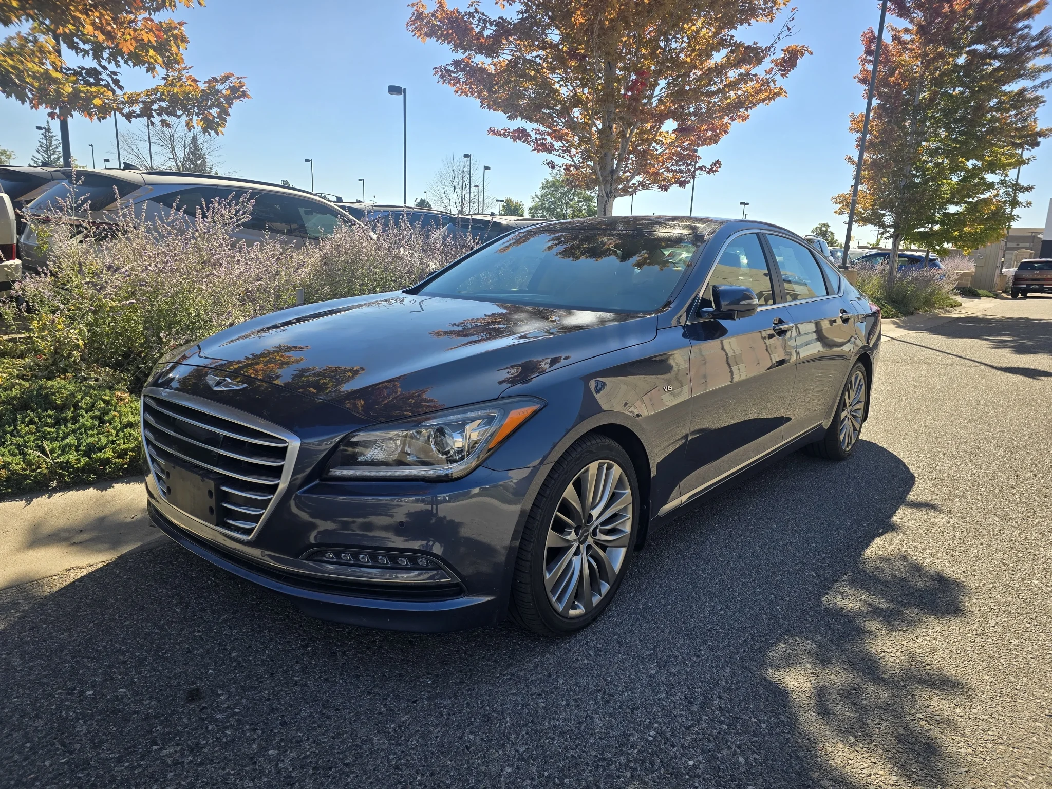 Used 2015 Montecito Blue Hyundai 5.0L image 13