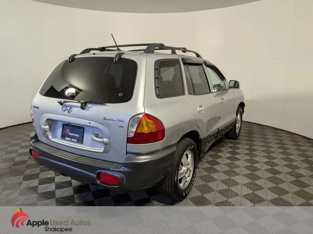 Used 2004 Silver Hyundai GLS image 5
