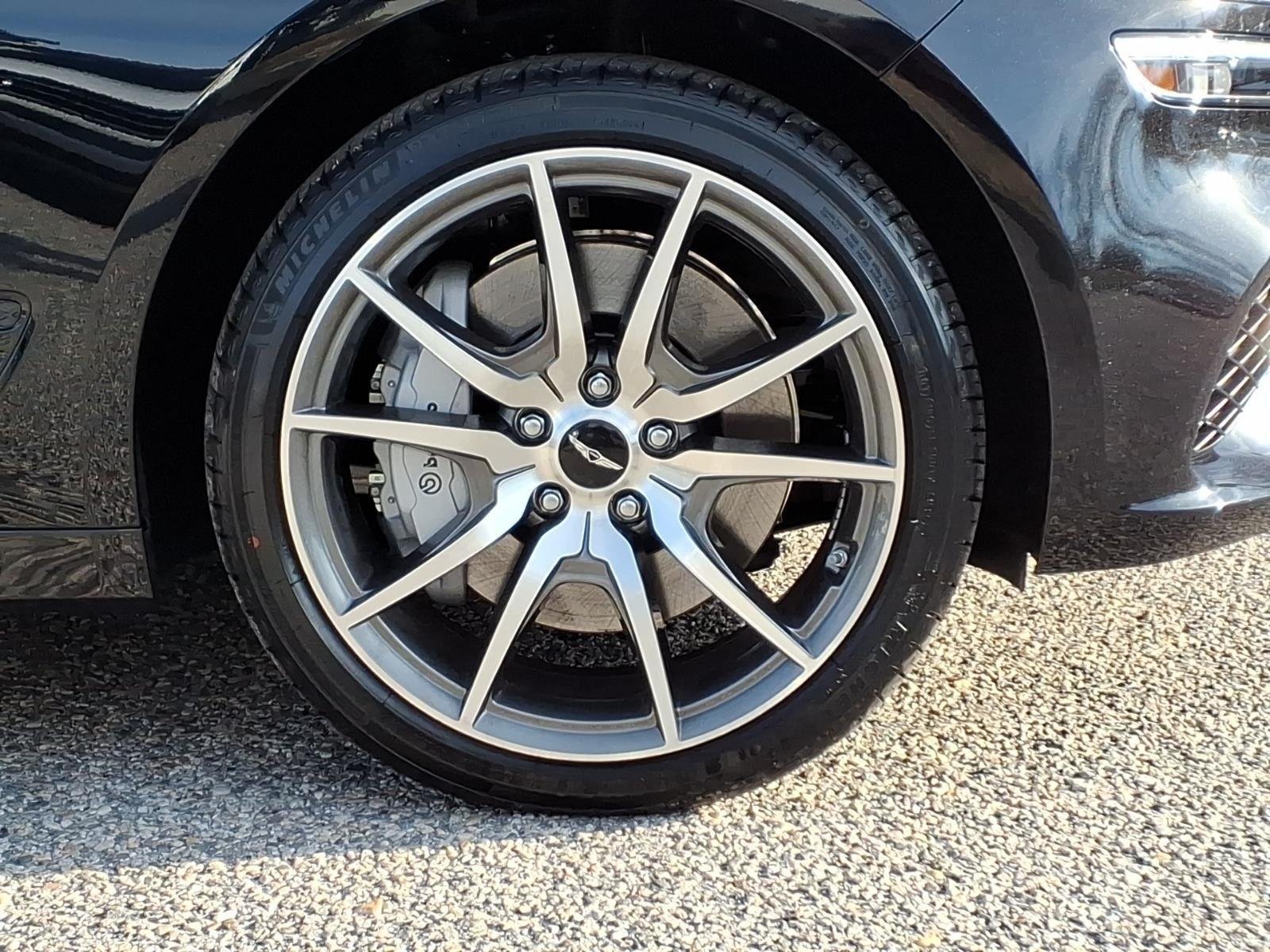 New 2026 Vik Black Genesis 2.5T image 5