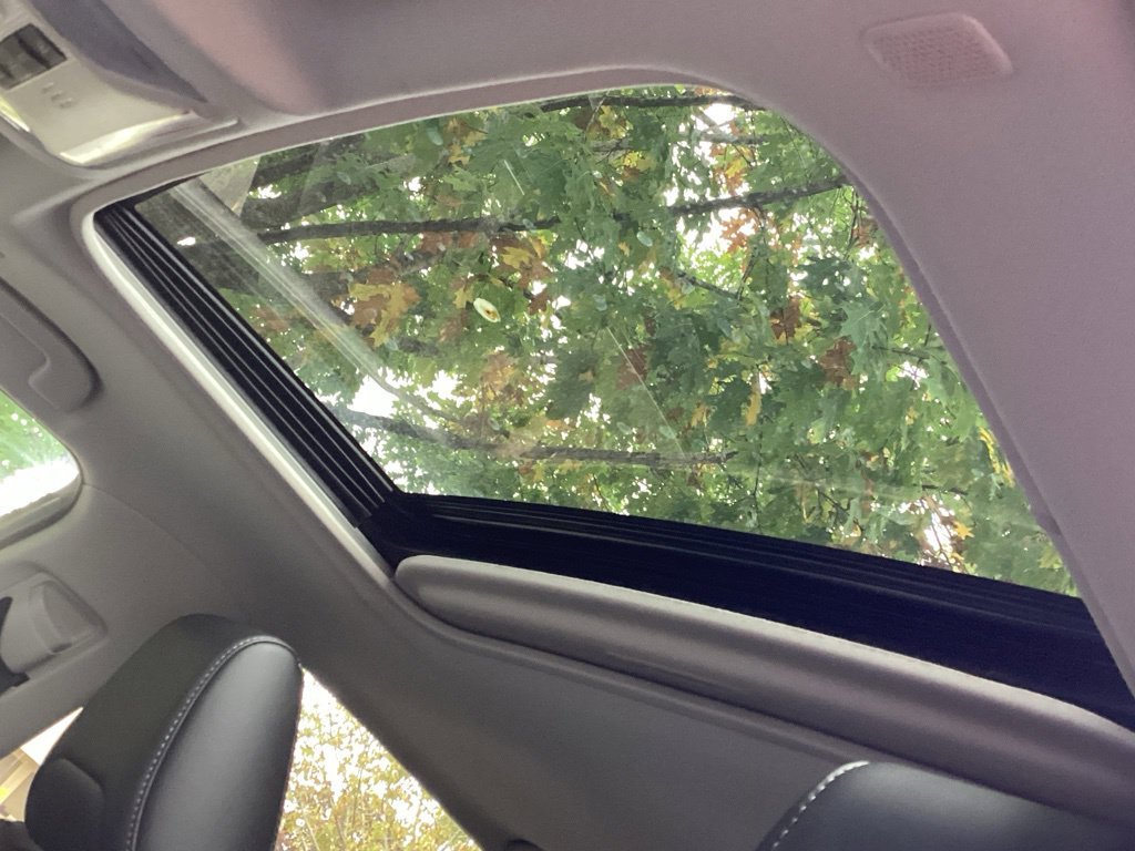 Used 2024 Gray Toyota XLE Premium image 3