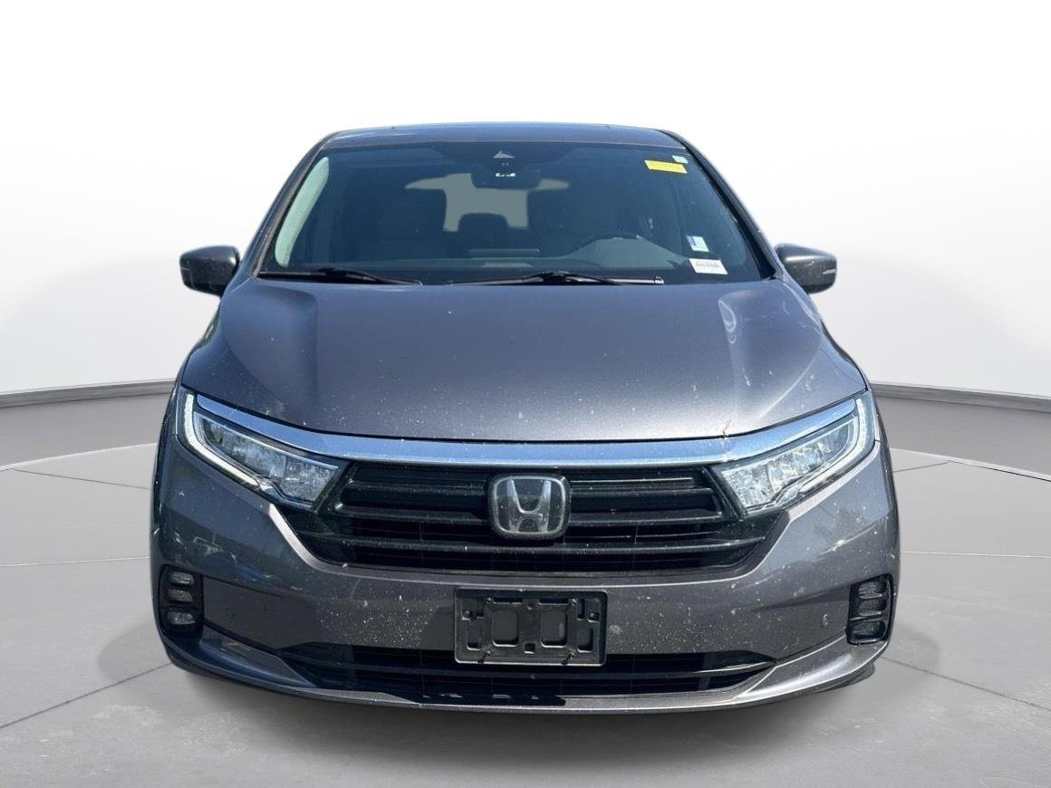 Used 2024 Modern Steel Metallic Honda Elite image 3