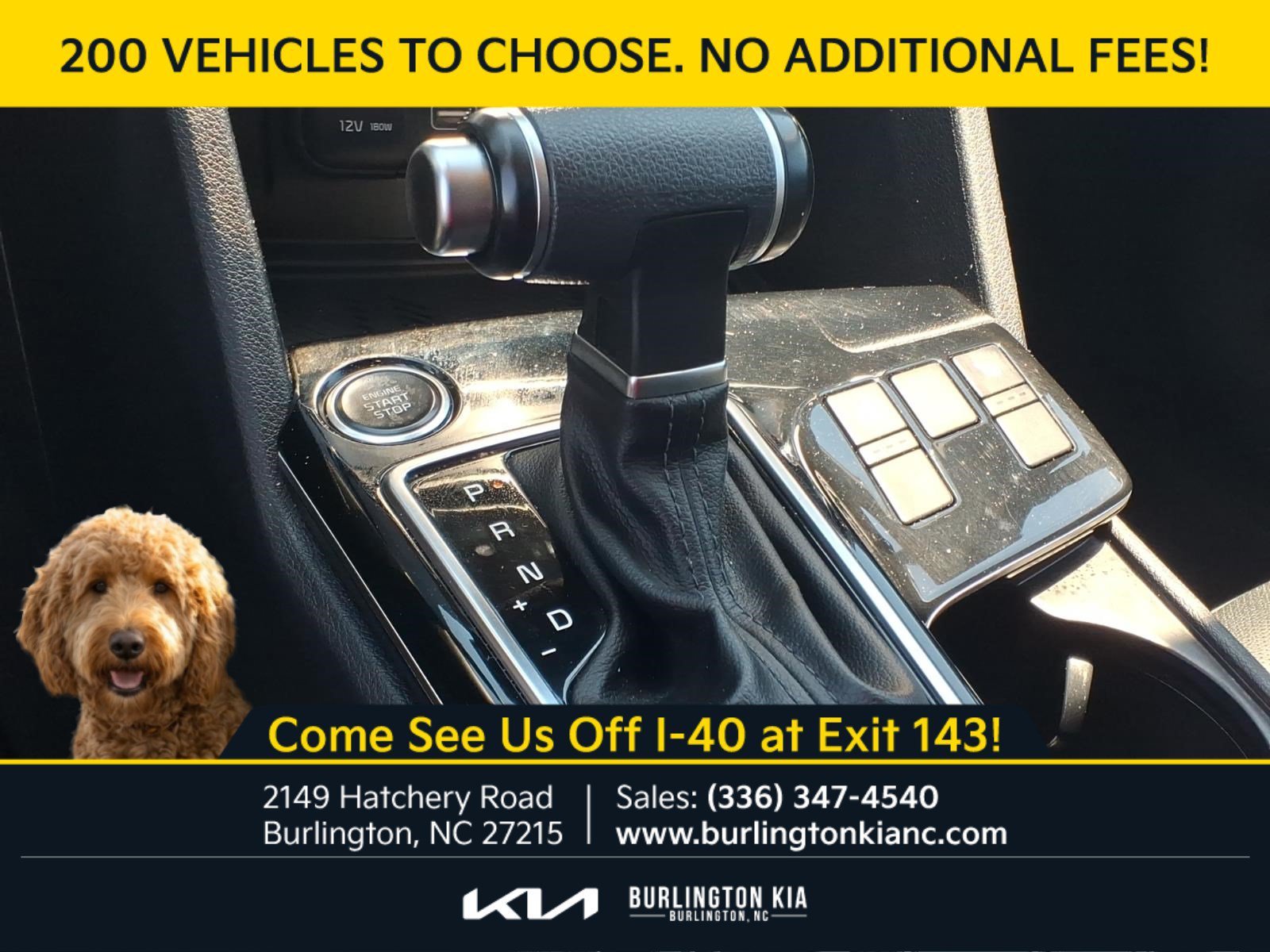 Certified Used 2024 Ebony Black Kia EX image 14