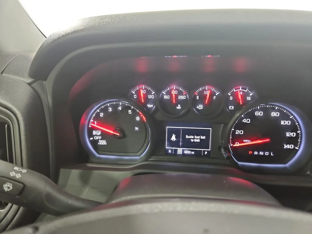 Used 2025 White Chevrolet WT image 16