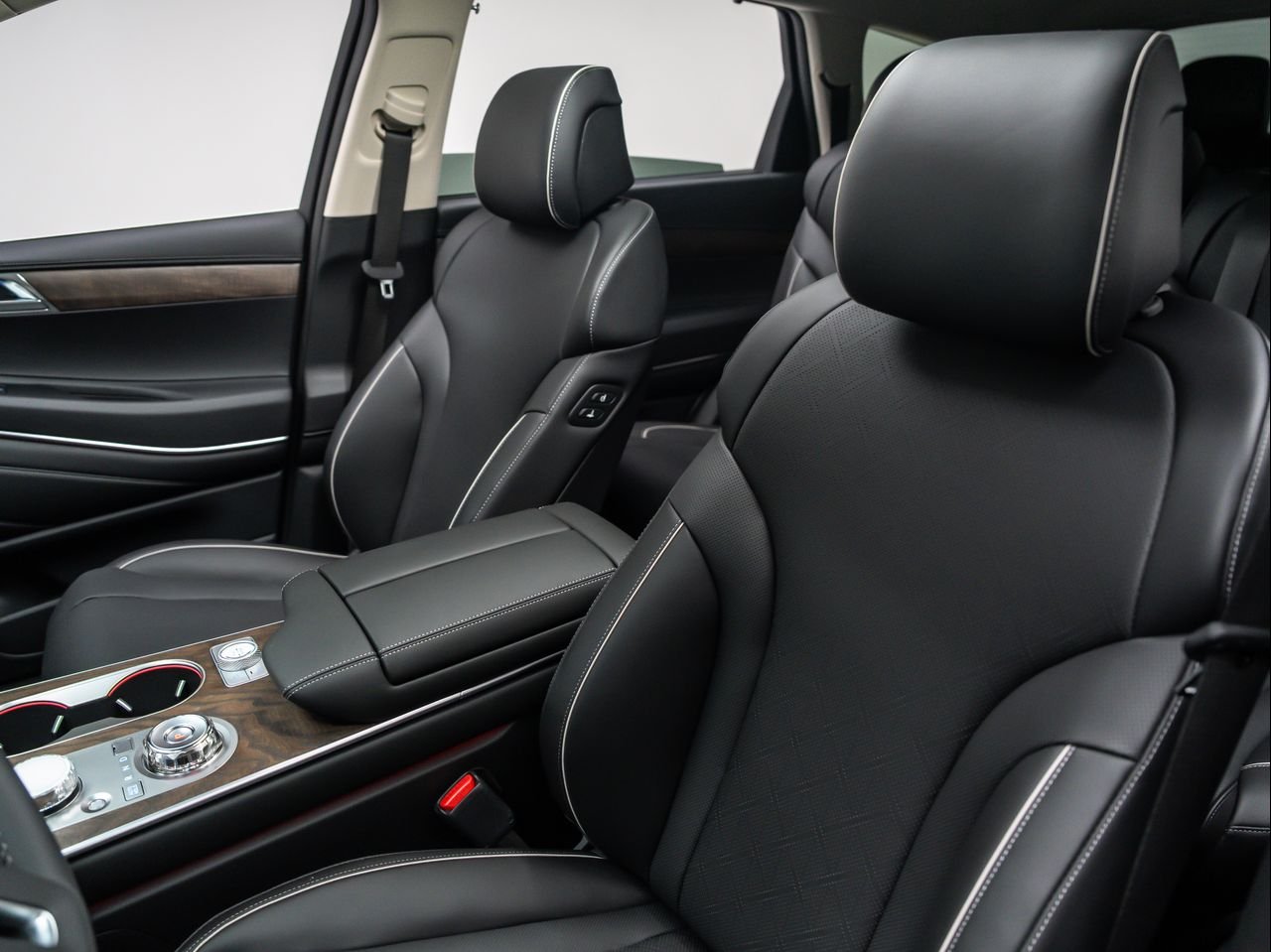 New 2026 Vik Black Genesis 2.5T PRESTIGE image 19