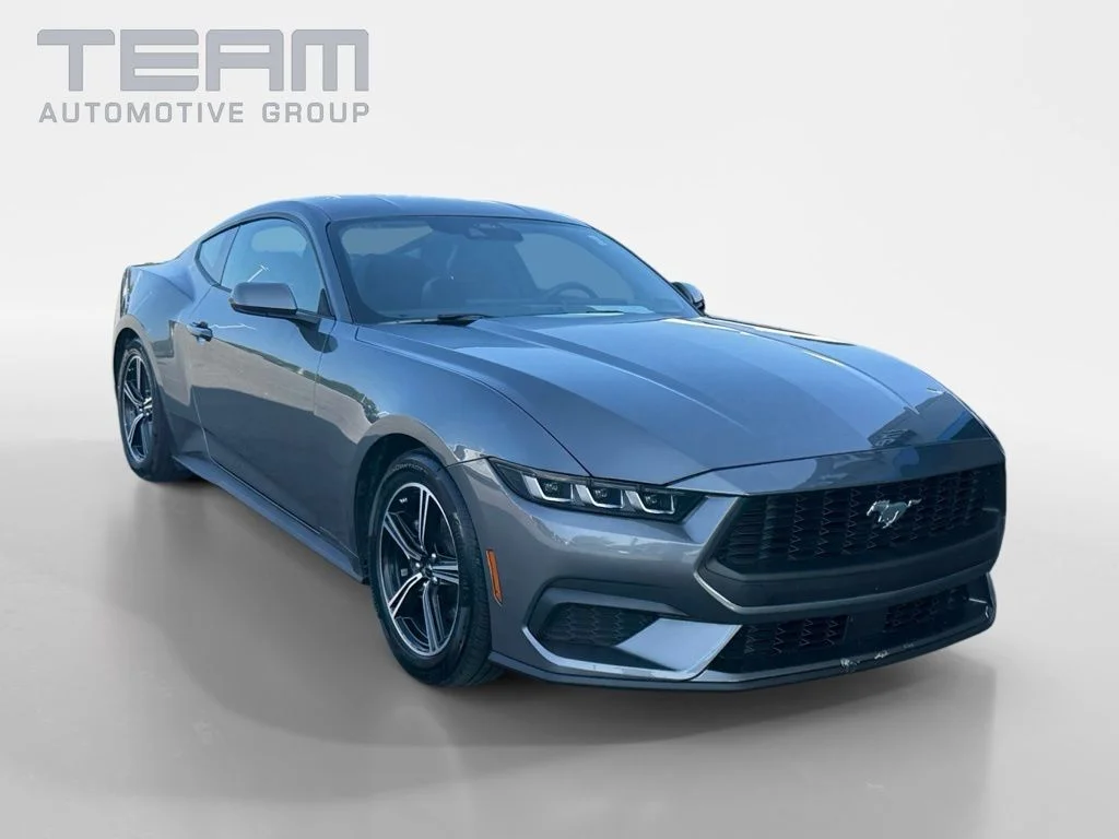 Used 2025 Gray Ford EcoBoost image 1