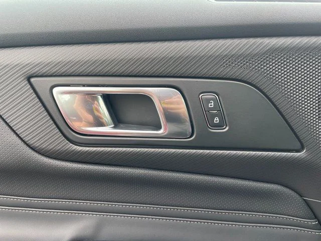 2025 Ford Mustang EcoBoost Premium Fastback - Photo 17