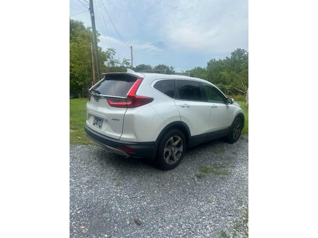 Used 2019 Platinum White Pearl Honda EX image 2