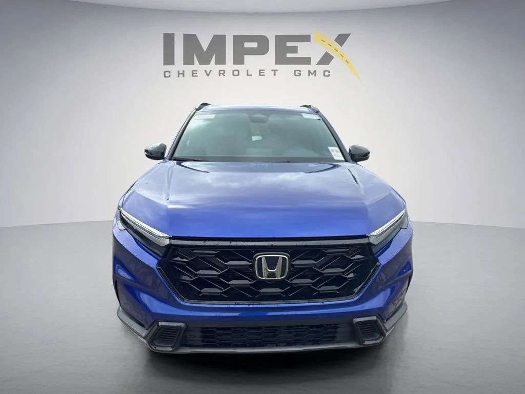 Used 2025 Blue Honda Sport image 6