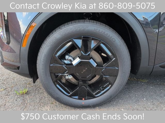 New 2026 Panthera Metal Kia X-Line image 9