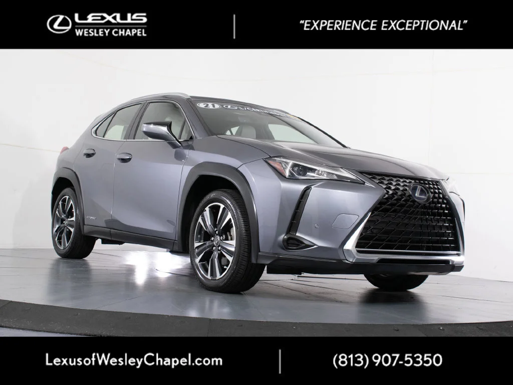 2021 Lexus UX Hybrid