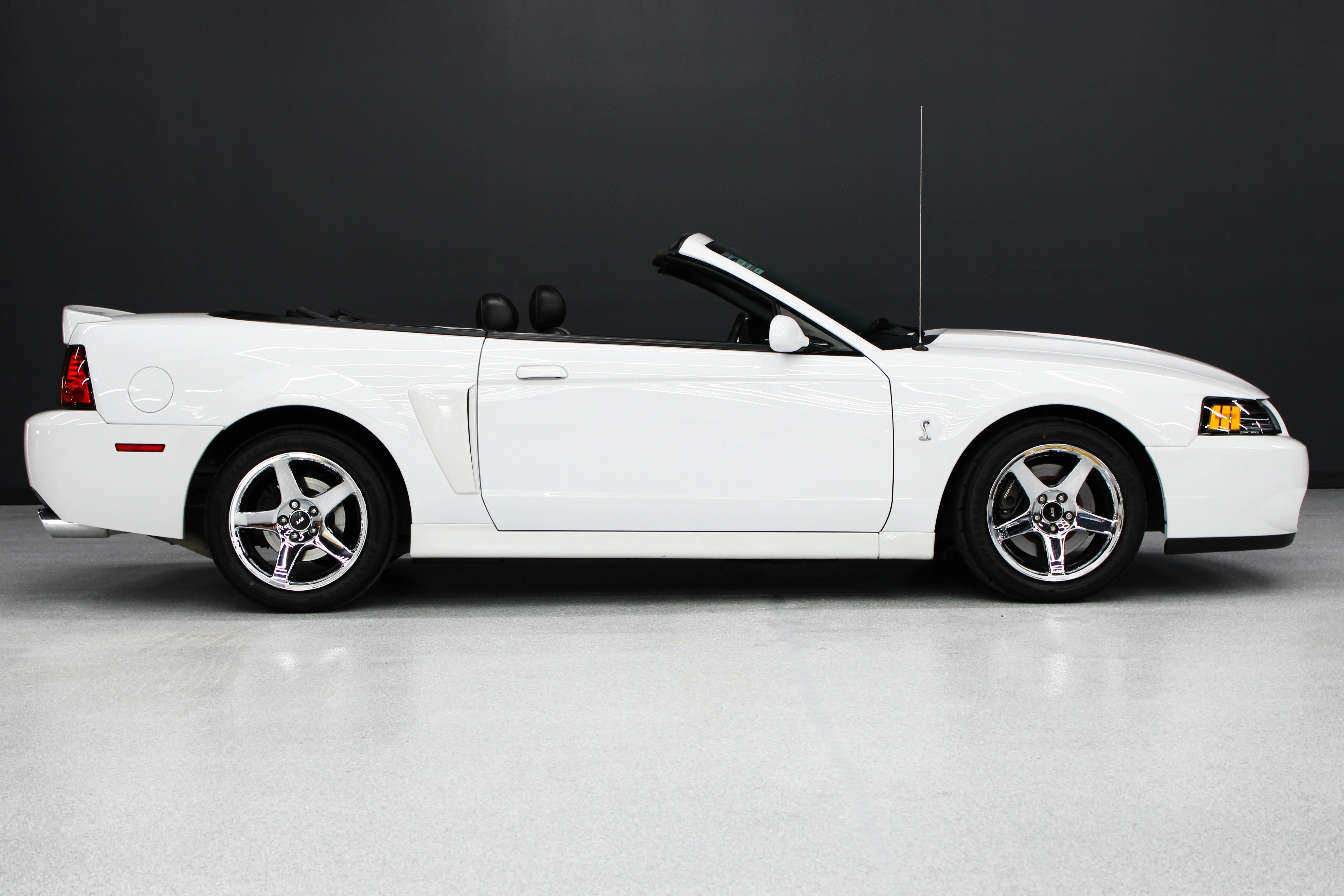 2004 Ford Mustang Cobra SVT - Photo 22