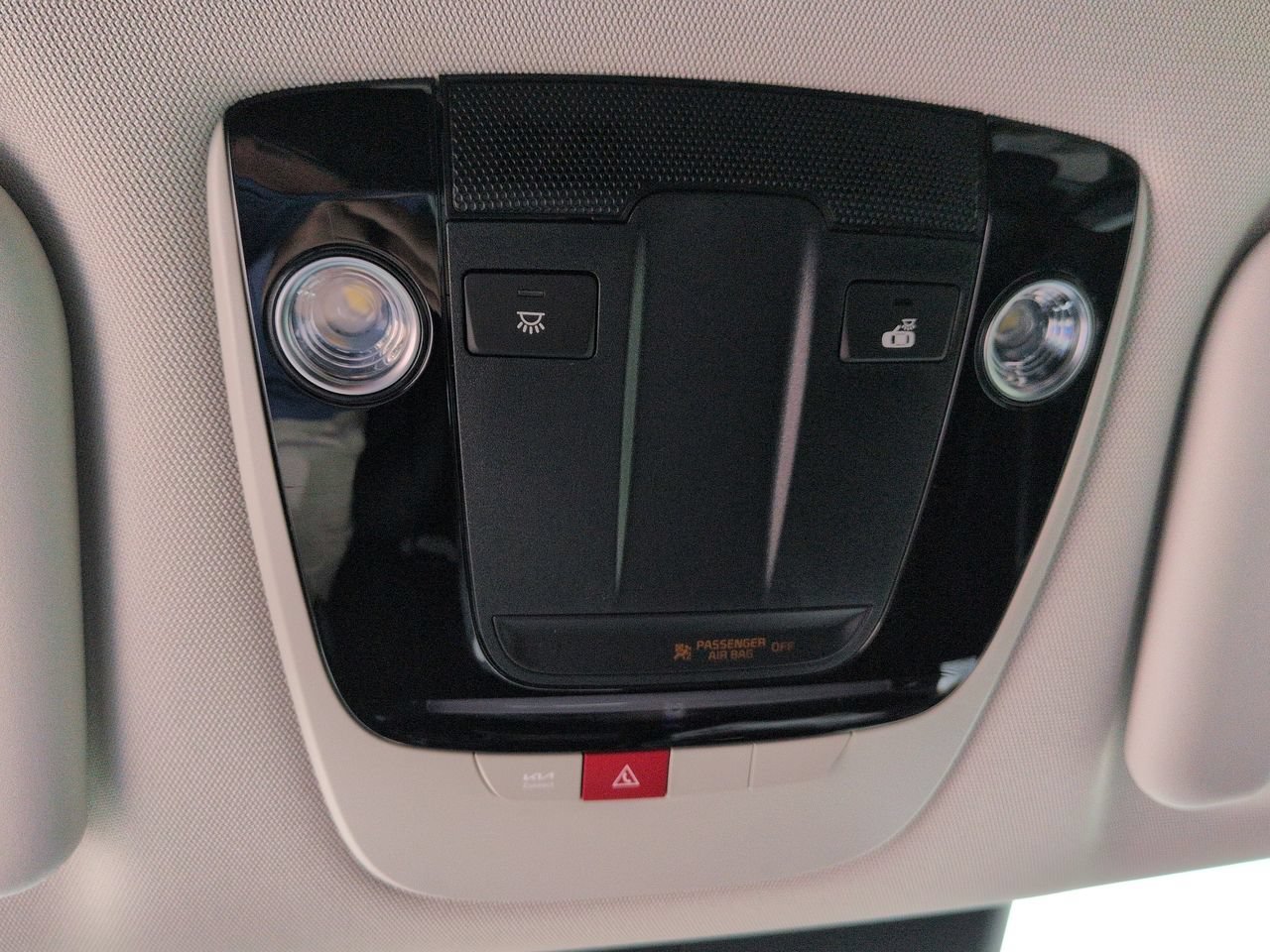 New 2026 Panthera Metal Kia LIGHT image 22
