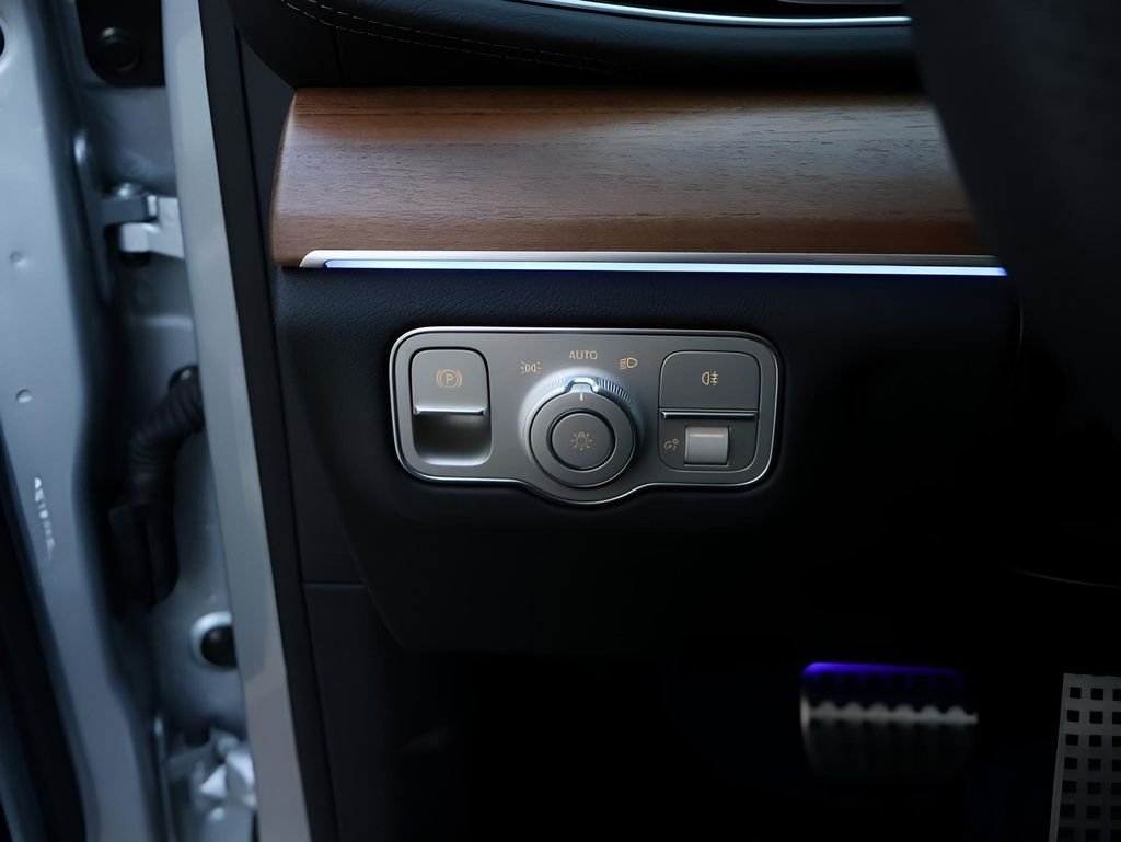 2025 Mercedes-Benz GLS Base - Photo 38