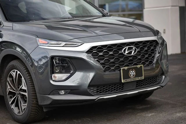 Used 2019 Rainforest Hyundai Limited image 2