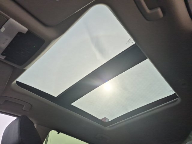 New 2026 Everest White Pearl TriCoat / Super Black Two-tone Nissan Platinum image 21