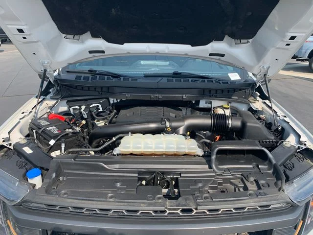 Used 2023 White Ford Tremor image 24