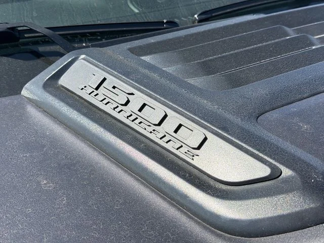 New 2026 Gray Ram Rebel image 6