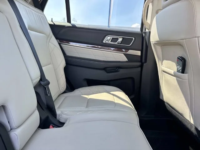 Used 2018 Silver Ford Platinum image 15
