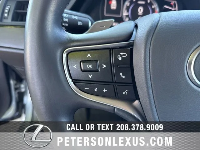 Used 2024 Silver Lexus 250 image 25