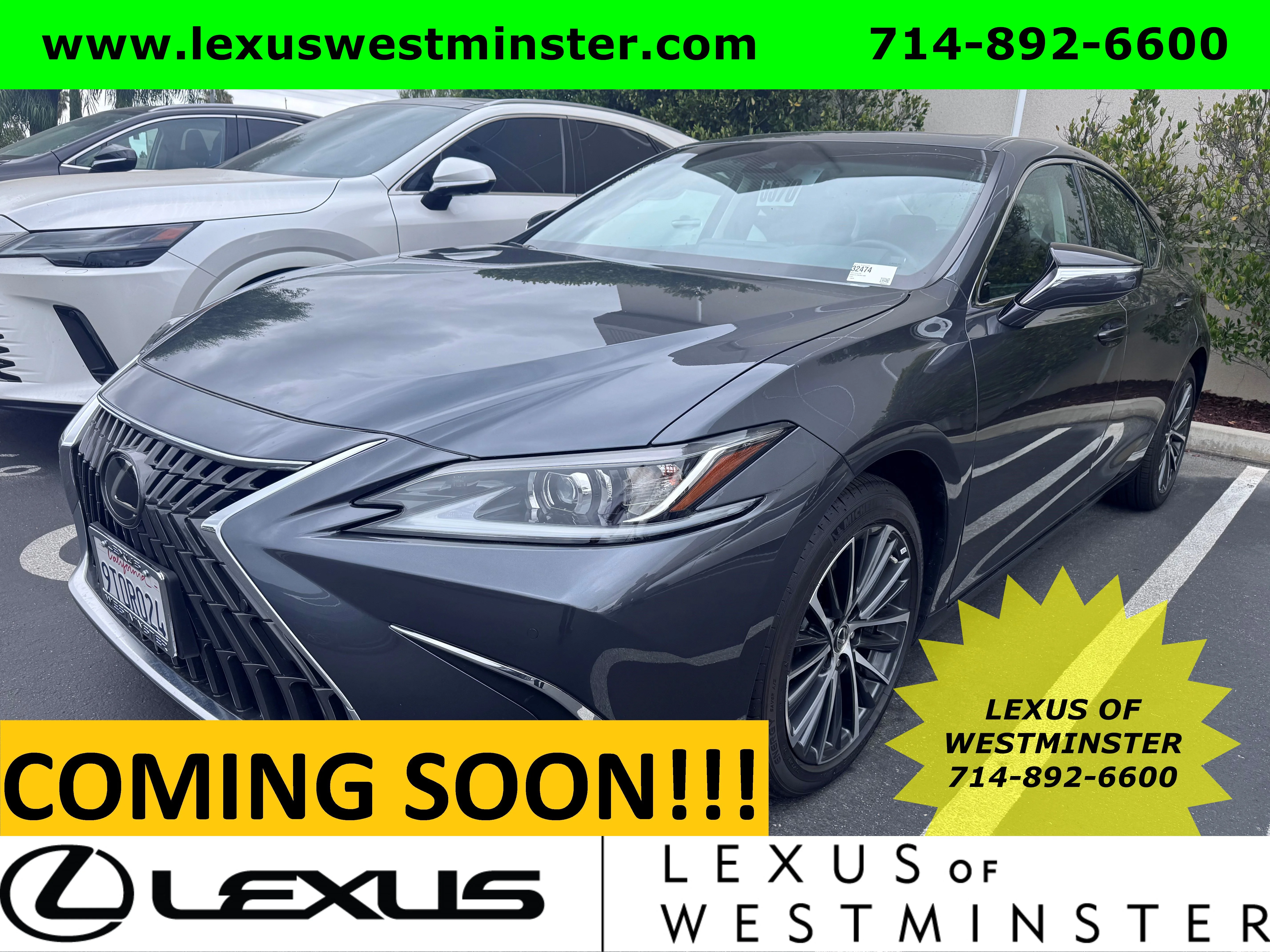 2025 Lexus ES 300h 300h's photo