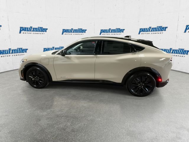 New 2026 Beige Ford Premium image 7