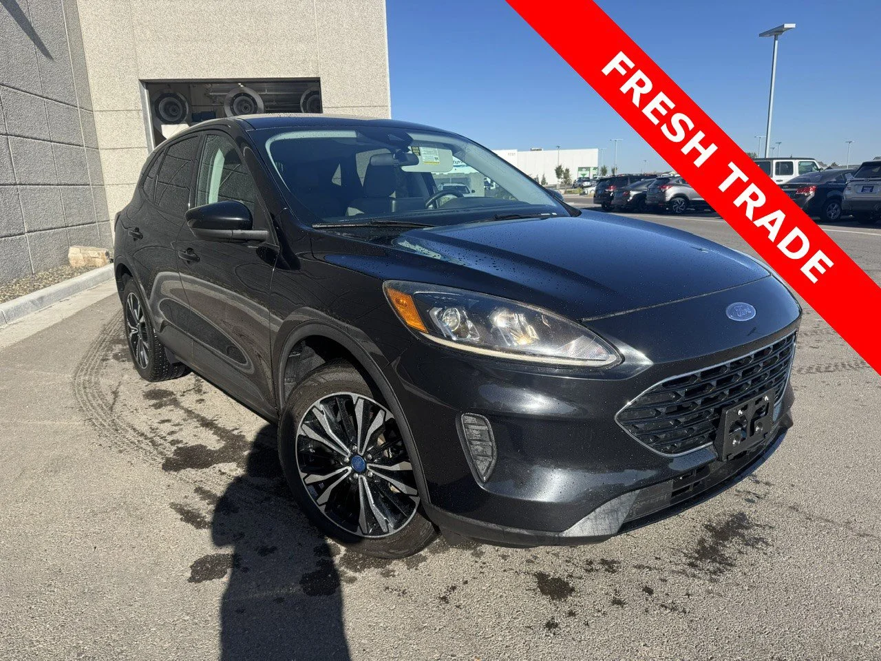 2021 Ford Escape SE AWD's photo