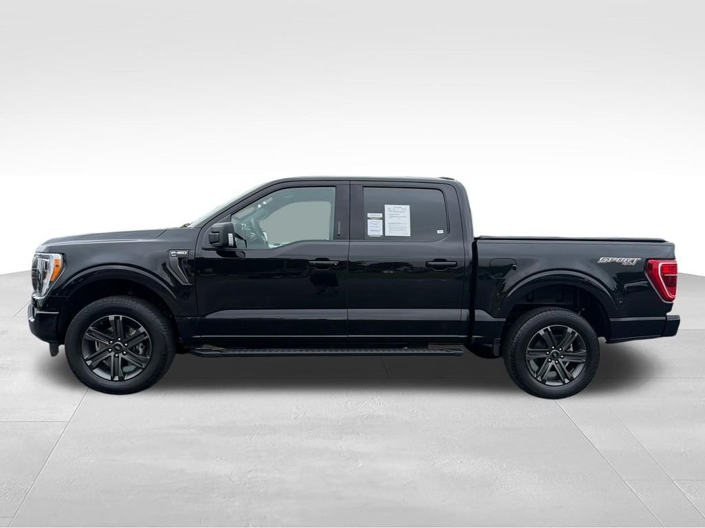 Used 2023 Black Ford XLT image 3