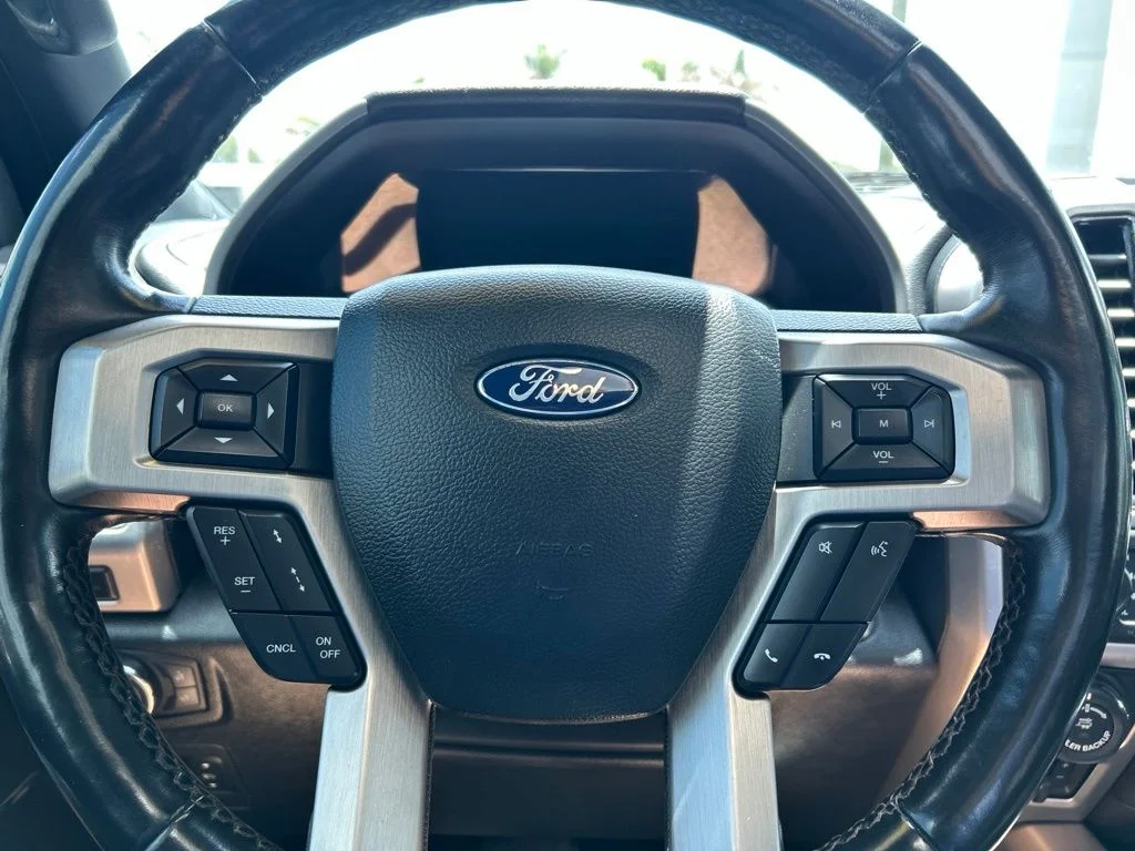 Used 2019 Black Metallic Ford Platinum image 23