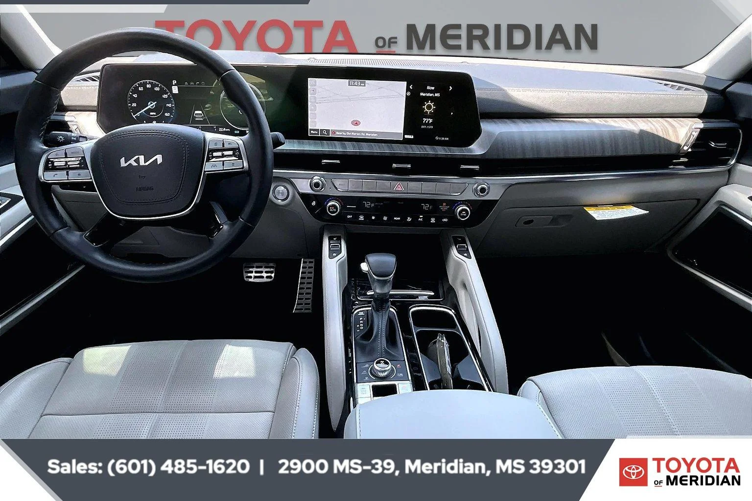 Used 2025 Panthera Metal Kia SX image 13