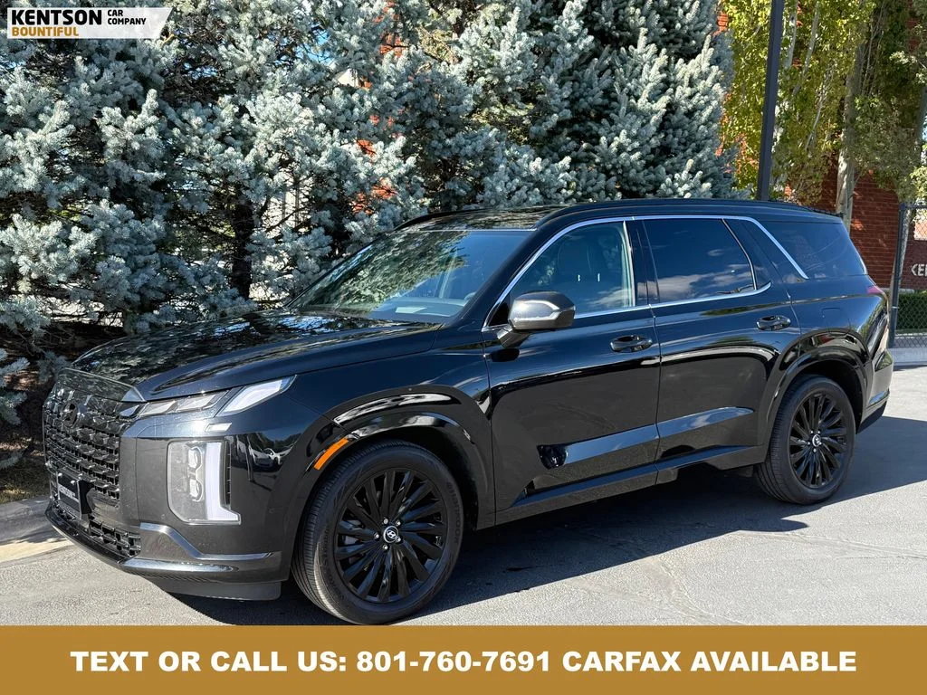 2025 Hyundai Palisade Calligraphy Night Edition AWD's photo