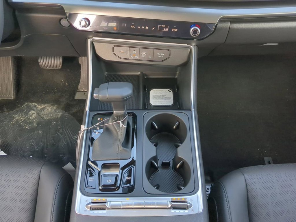New 2026 Panthera Metal Kia SX image 22