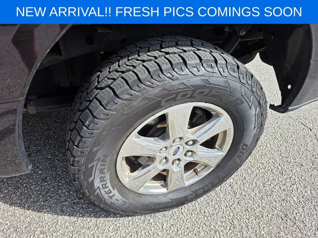 Used 2019  Ford XL image 6