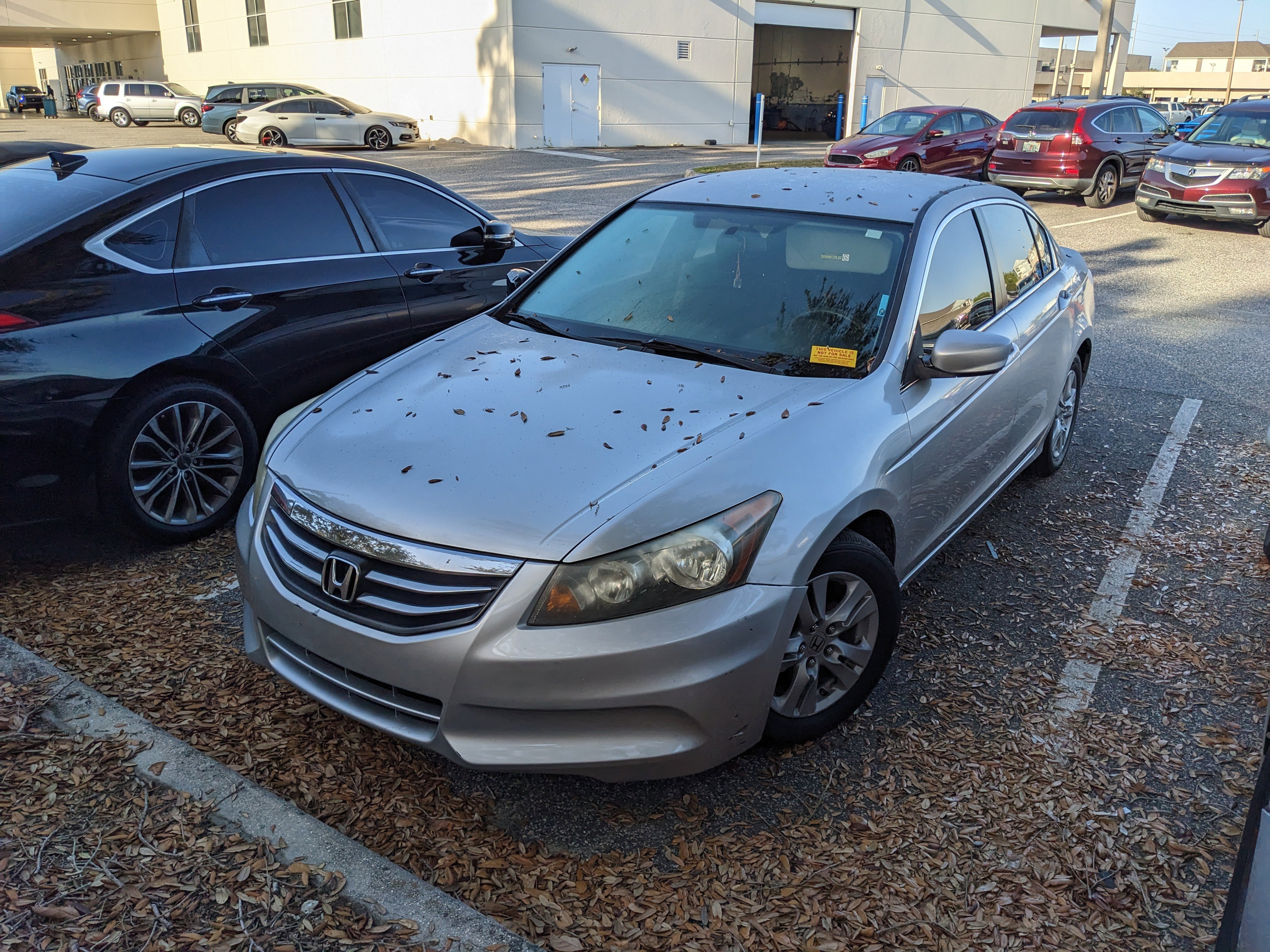 2011 Honda Accord LX-P