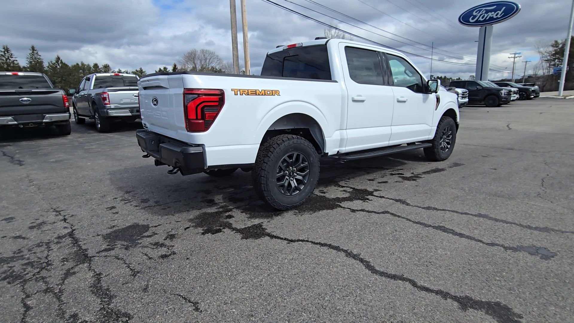 2025 Ford F-150 Tremor - Photo 20