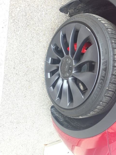 Used 2024 Tesla Model Y Performance with VIN 7SAYGDEF8RF048317 for sale in Fort Myers, FL