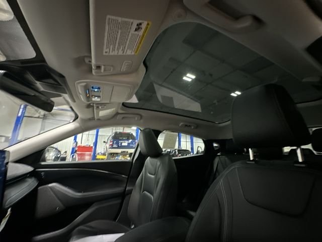 New 2026 Shadow Black Ford Premium image 20