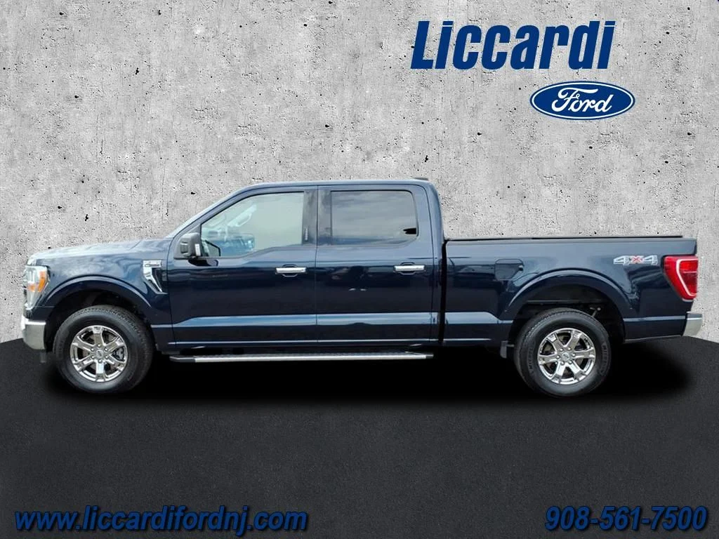 Used 2023 Blue Ford XLT image 4